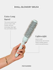 Small blowdry brush Infographic