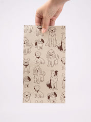 Lola & Friends - Pop Up