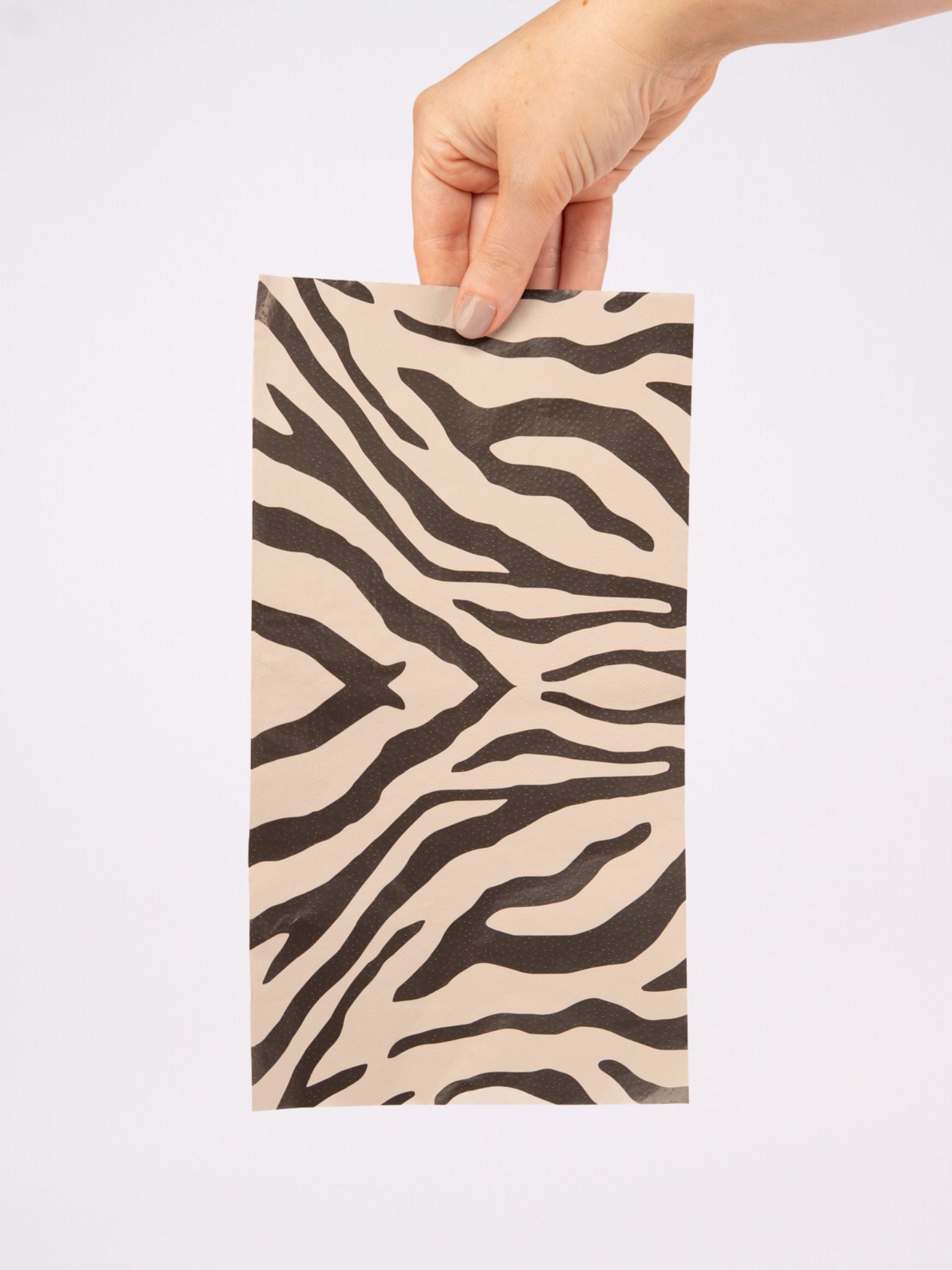 zebra flat lay
